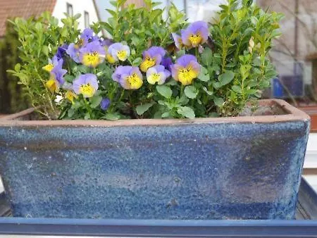 Проживание в семье Ruhiges Sued Ost - Naehe Messe - Mit Wallbox